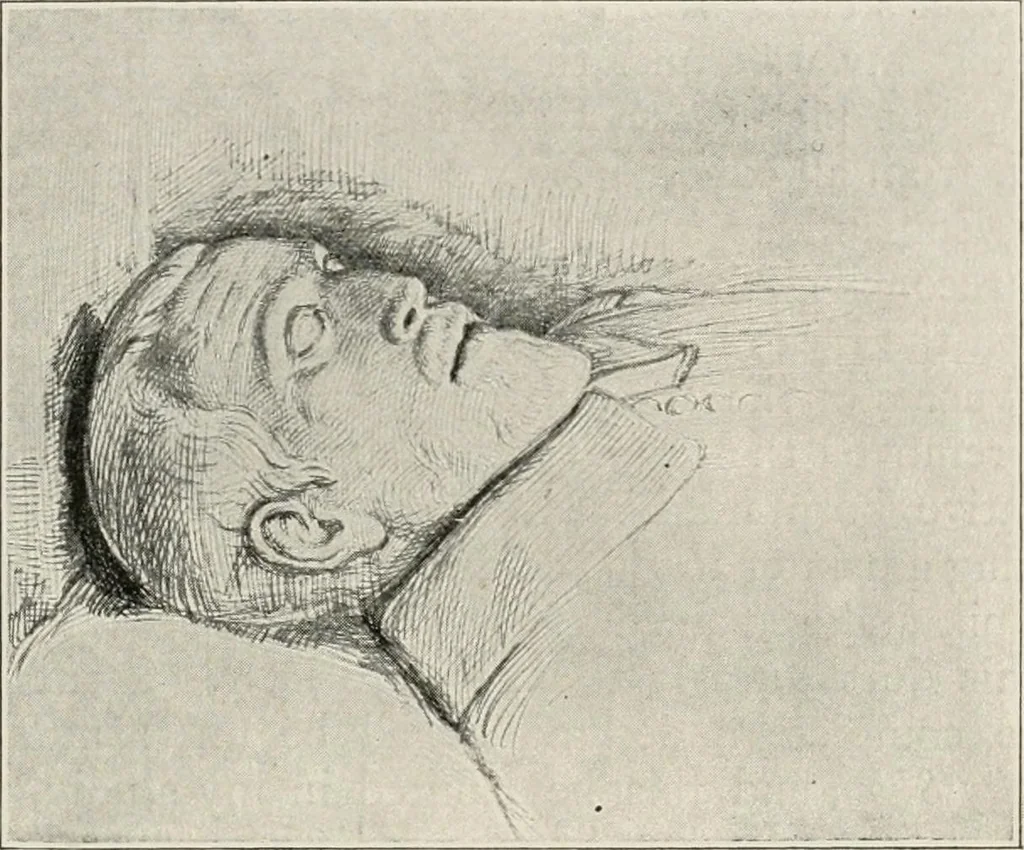 An illustration from Pre-Raphaelitism and the pre-Raphaelite brotherhood, 1905, leaf 354