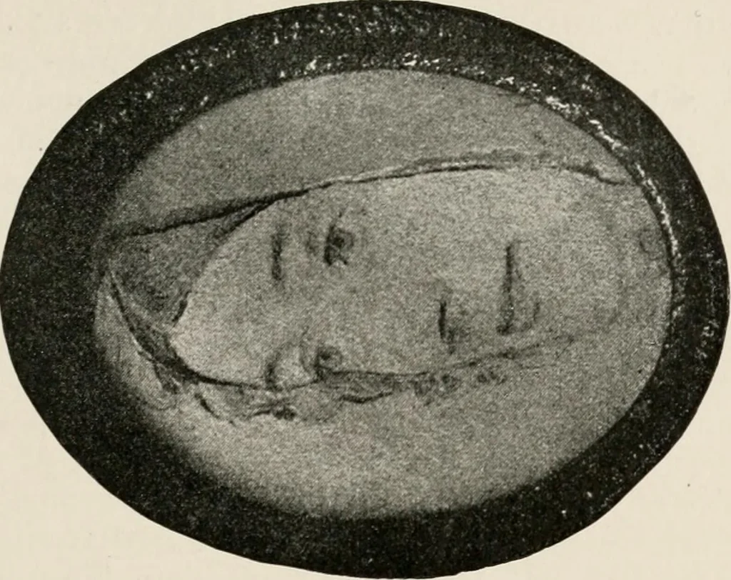 An illustration from Pre-Raphaelitism and the pre-Raphaelite brotherhood, 1905, leaf 368