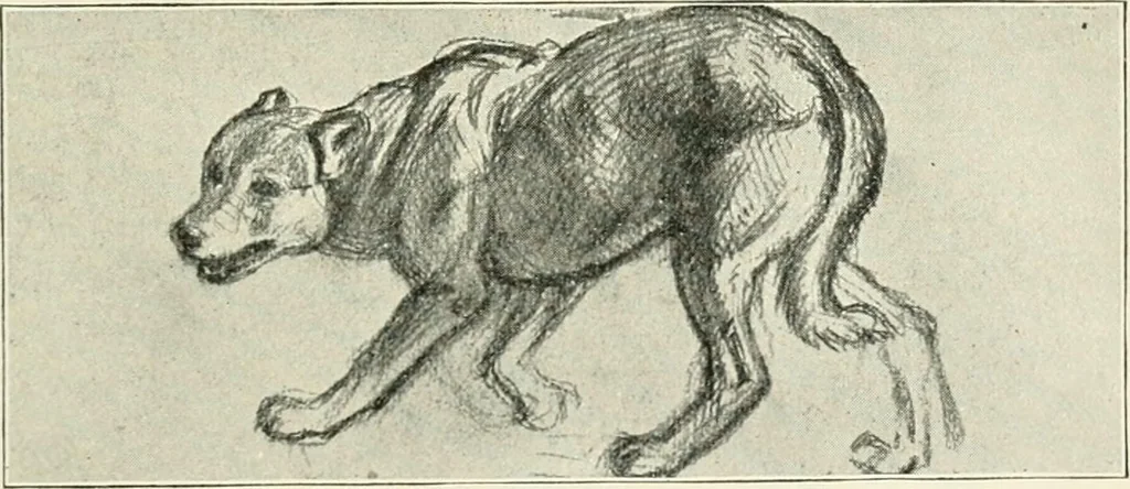 An illustration from Pre-Raphaelitism and the pre-Raphaelite brotherhood, 1905, leaf 376