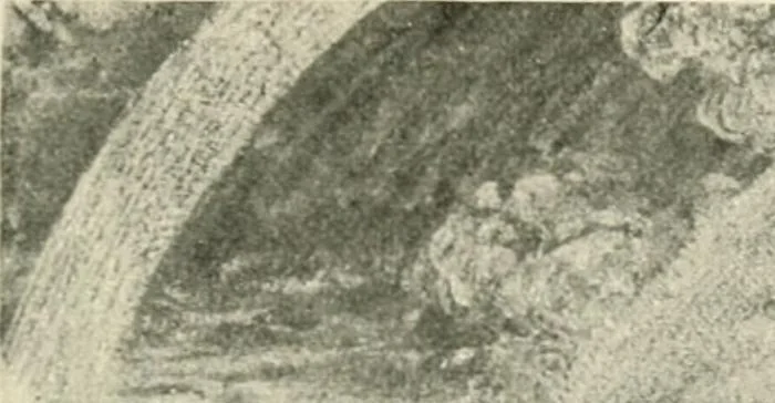 An illustration from Pre-Raphaelitism and the pre-Raphaelite brotherhood, 1905, leaf 452