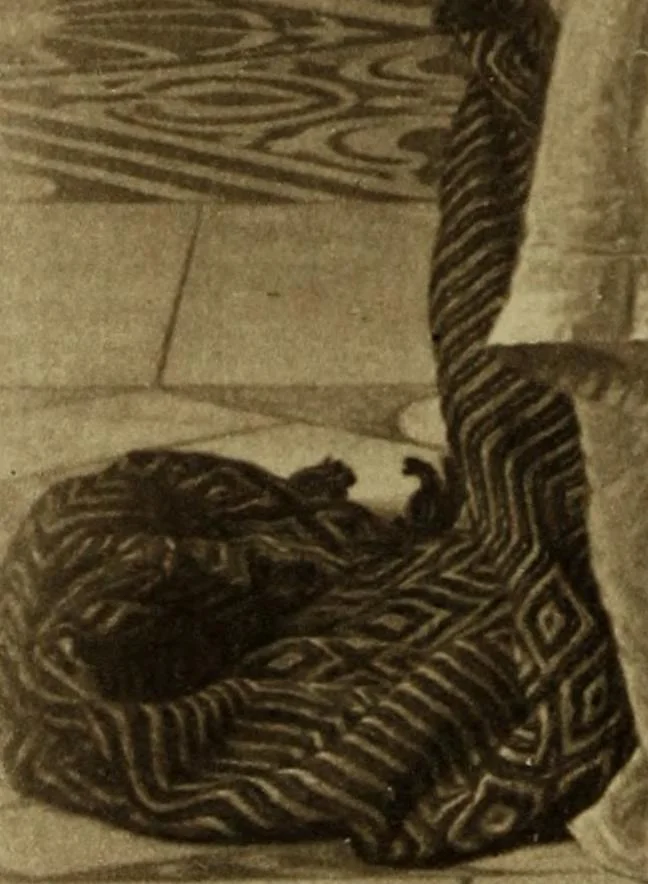 An illustration from Pre-Raphaelitism and the Pre-Raphaelite Brotherhood, 1905, leaf 297