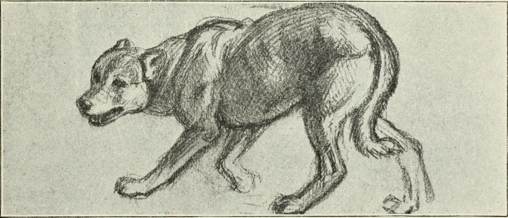 An illustration from Pre-Raphaelitism and the Pre-Raphaelite Brotherhood, 1905, leaf 380