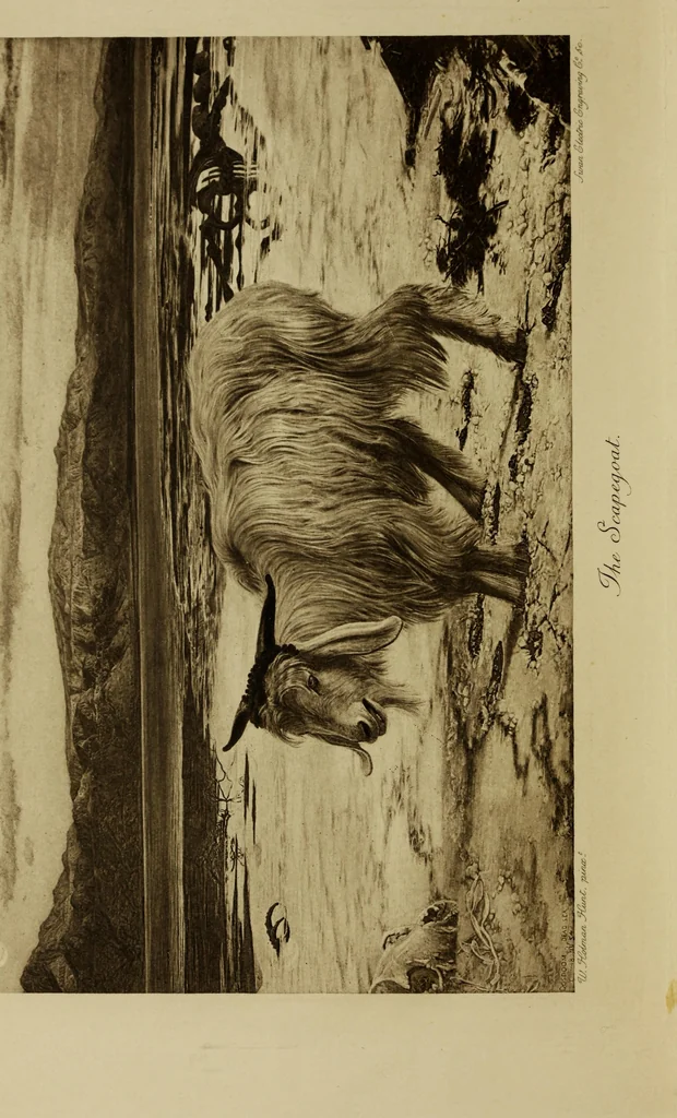 An illustration from Pre-Raphaelitism and the Pre-Raphaelite Brotherhood, 1905, leaf 9