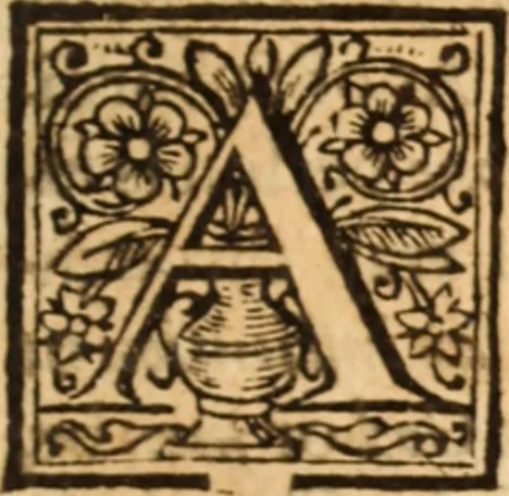 An illustration from The reasons presented by the Dissenting brethren : against certain propositions concerning presbyteriall government. And the proofs of them voted by the Assembly of divines, sitting by authority of Parliament, at Westminster. Together with the answer of the Assembly of divines to those reasons of dissent, 1648, leaf 164