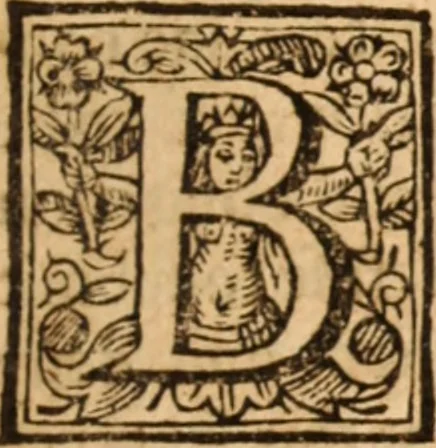 An illustration from The reasons presented by the Dissenting brethren : against certain propositions concerning presbyteriall government. And the proofs of them voted by the Assembly of divines, sitting by authority of Parliament, at Westminster. Together with the answer of the Assembly of divines to those reasons of dissent, 1648, leaf 186