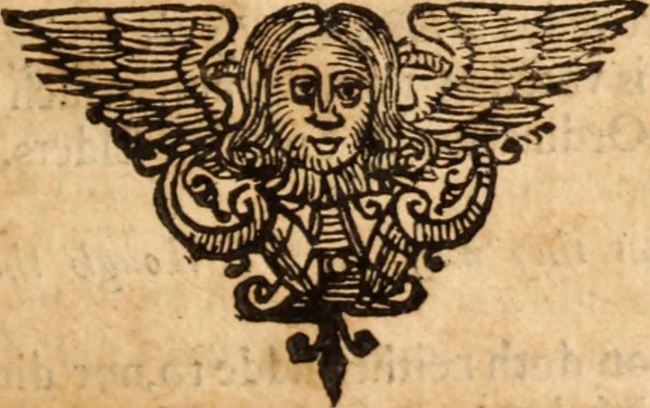 An illustration from The reasons presented by the Dissenting brethren : against certain propositions concerning presbyteriall government. And the proofs of them voted by the Assembly of divines, sitting by authority of Parliament, at Westminster. Together with the answer of the Assembly of divines to those reasons of dissent, 1648, leaf 238