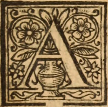 An illustration from The reasons presented by the Dissenting brethren : against certain propositions concerning presbyteriall government. And the proofs of them voted by the Assembly of divines, sitting by authority of Parliament, at Westminster. Together with the answer of the Assembly of divines to those reasons of dissent, 1648, leaf 244