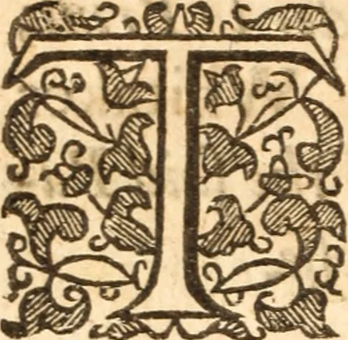 An illustration from The reasons presented by the Dissenting brethren : against certain propositions concerning presbyteriall government. And the proofs of them voted by the Assembly of divines, sitting by authority of Parliament, at Westminster. Together with the answer of the Assembly of divines to those reasons of dissent, 1648, leaf 7