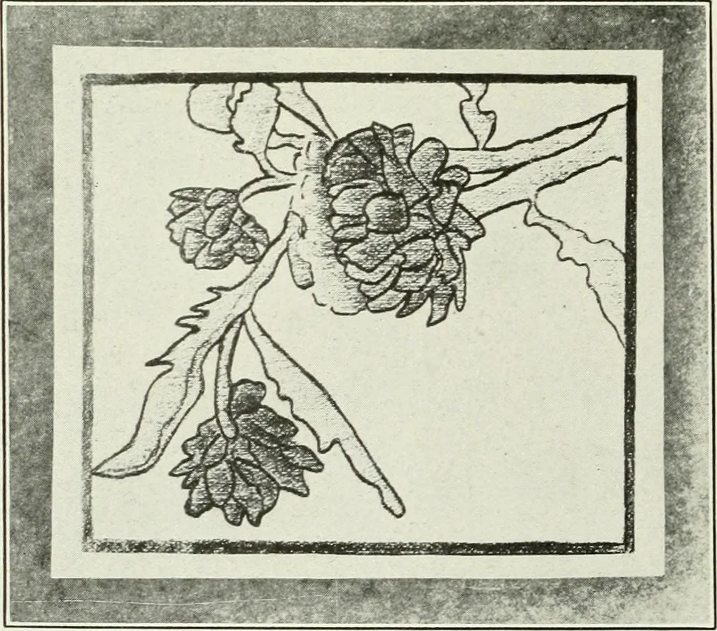 An illustration from Present status of drawing and art in the elementary and secondary schools of the United States, 1914, leaf 395