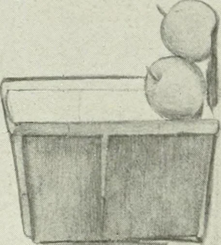 An illustration from Present status of drawing and art in the elementary and secondary schools of the United States, 1914, leaf 413