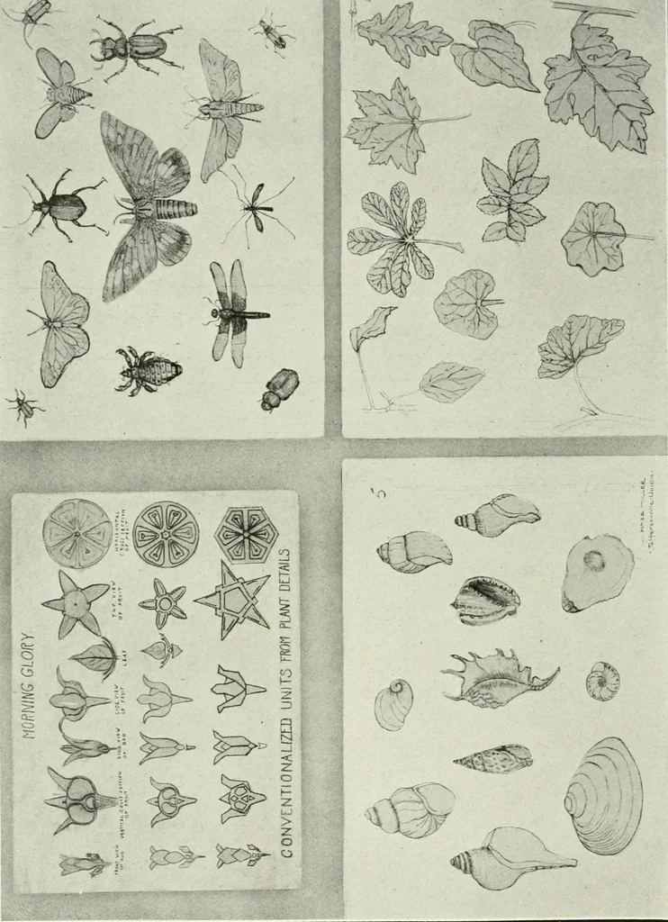 An illustration from Present status of drawing and art in the elementary and secondary schools of the United States, 1914, leaf 415