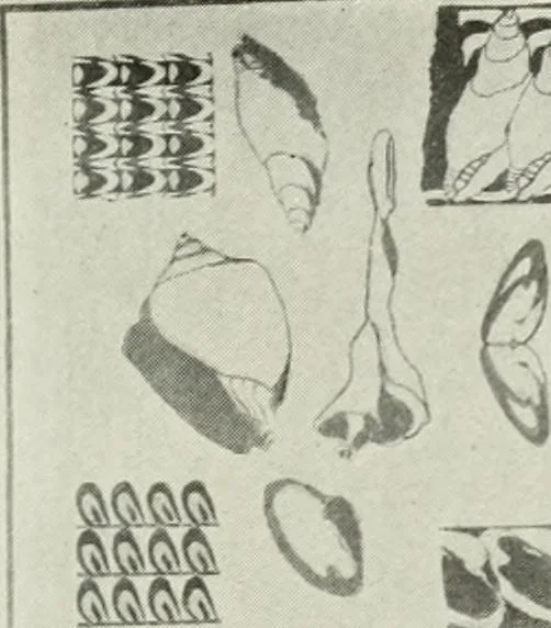 An illustration from Present status of drawing and art in the elementary and secondary schools of the United States, 1914, leaf 416