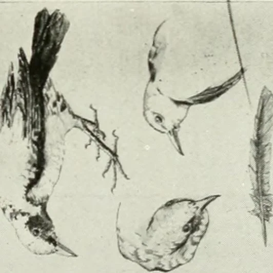 An illustration from Present status of drawing and art in the elementary and secondary schools of the United States, 1914, leaf 416