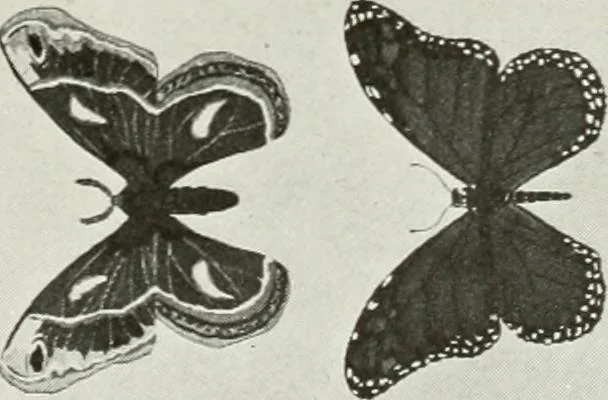 An illustration from Present status of drawing and art in the elementary and secondary schools of the United States, 1914, leaf 416