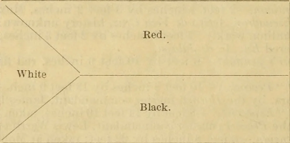 An illustration from Preservation of flags ... Report, 1912, leaf 11