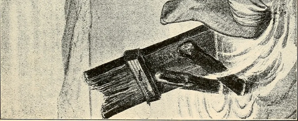 An illustration from Presidential nominations and elections : a history of American conventions, national campaigns, inaugurations and campaign caricature, 1916, leaf 120