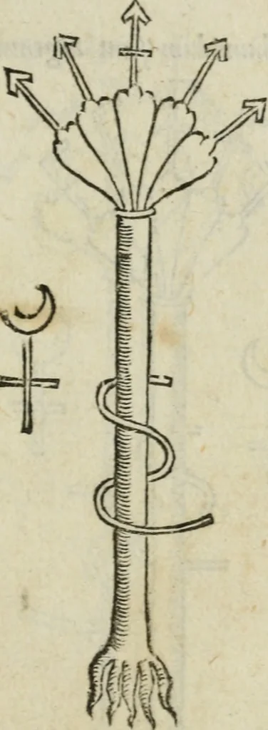 An illustration from Pretiosa margarita novella : de thesavro, ac pretiosissimo philosophorvm lapide : artis huius divinae typus & methodus : collectanea ex Arnaldo, Rhaymundo, Rhasi, Alberto, & Michaele Scoto, 1546, leaf 32