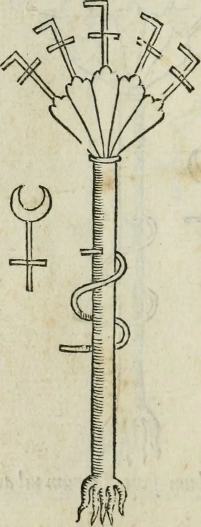 An illustration from Pretiosa margarita novella : de thesavro, ac pretiosissimo philosophorvm lapide : artis huius divinae typus & methodus : collectanea ex Arnaldo, Rhaymundo, Rhasi, Alberto, & Michaele Scoto, 1546, leaf 33