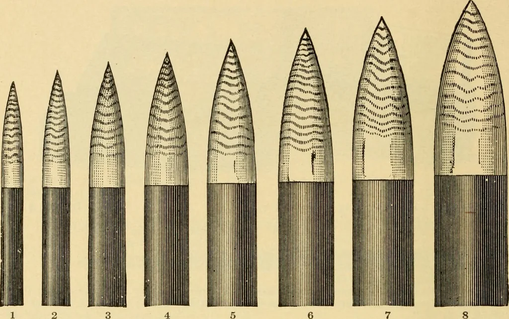 An illustration from Priced catalogue of artists' materials : supplies for oil painting, water color painting, china painting ... and drawing materials for architects and engineers, manual training schools and colleges., 1914, leaf 155
