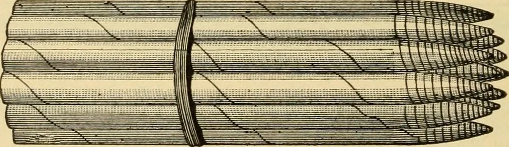 An illustration from Priced catalogue of artists' materials : supplies for oil painting, water color painting, china painting ... and drawing materials for architects and engineers, manual training schools and colleges., 1914, leaf 155