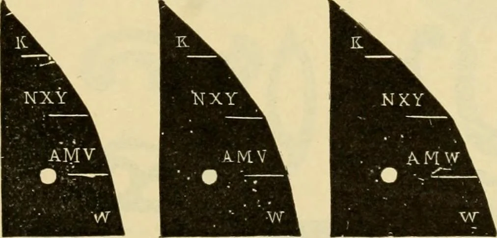 An illustration from Priced catalogue of artists' materials : supplies for oil painting, water color painting, china painting ... and drawing materials for architects and engineers, manual training schools and colleges., 1914, leaf 226