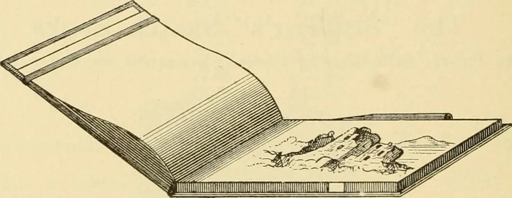 An illustration from Priced catalogue of artists' materials : supplies for oil painting, water color painting, china painting ... and drawing materials for architects and engineers, manual training schools and colleges., 1914, leaf 255