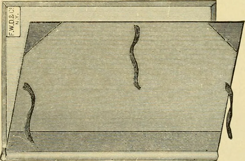 An illustration from Priced catalogue of artists' materials : supplies for oil painting, water color painting, china painting ... and drawing materials for architects and engineers, manual training schools and colleges., 1914, leaf 256
