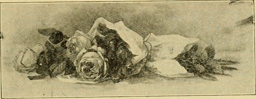 An illustration from Priced catalogue of artists' materials : supplies for oil painting, water color painting, china painting ... and drawing materials for architects and engineers, manual training schools and colleges., 1914, leaf 274