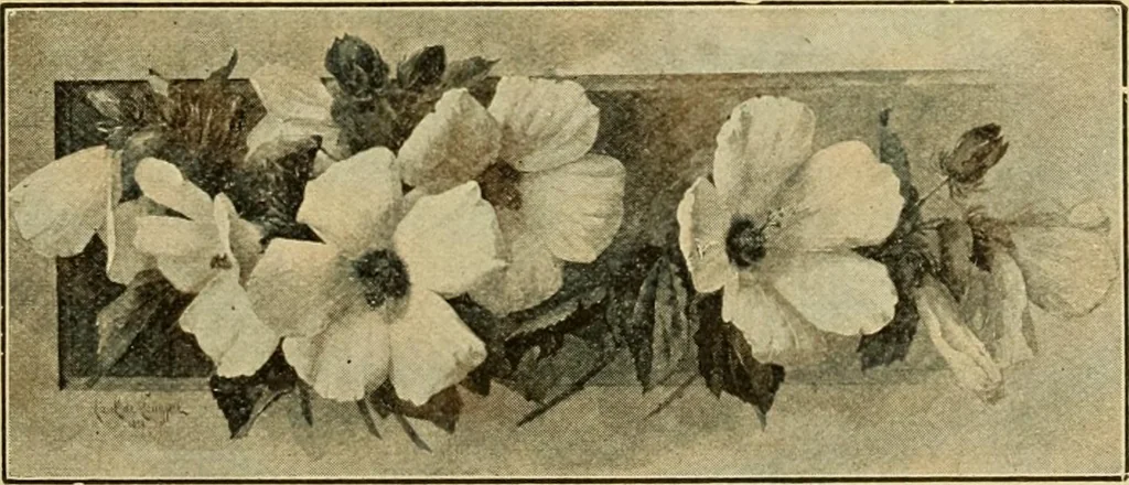 An illustration from Priced catalogue of artists' materials : supplies for oil painting, water color painting, china painting ... and drawing materials for architects and engineers, manual training schools and colleges., 1914, leaf 274