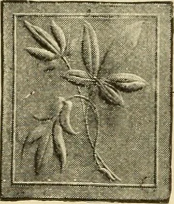 An illustration from Priced catalogue of artists' materials : supplies for oil painting, water color painting, china painting ... and drawing materials for architects and engineers, manual training schools and colleges., 1914, leaf 275
