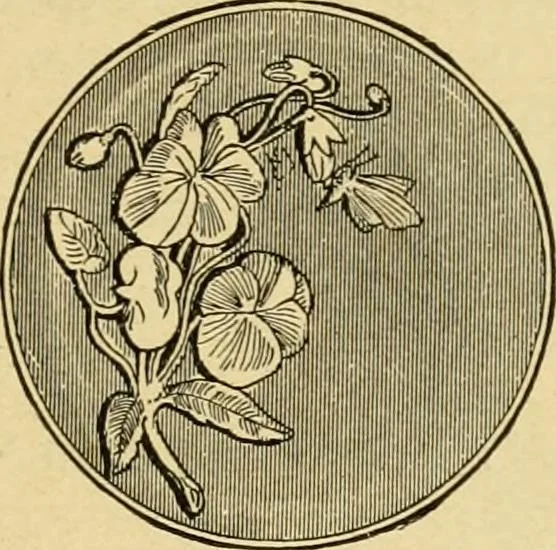 An illustration from Priced catalogue of artists' materials : supplies for oil painting, water color painting, china painting ... and drawing materials for architects and engineers, manual training schools and colleges., 1914, leaf 314