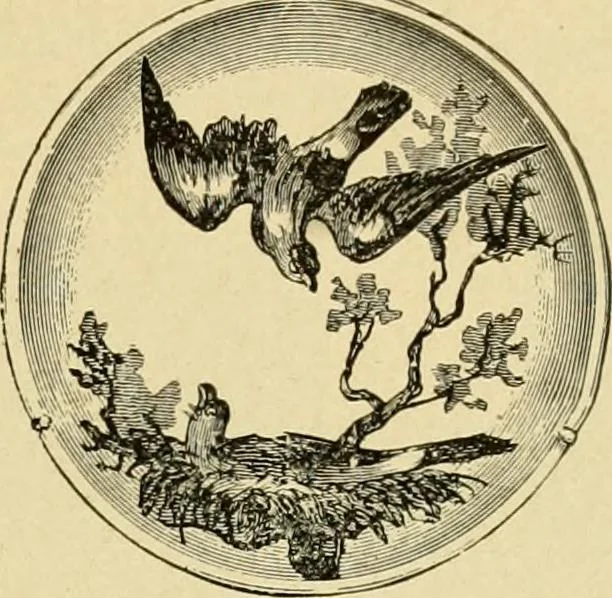 An illustration from Priced catalogue of artists' materials : supplies for oil painting, water color painting, china painting ... and drawing materials for architects and engineers, manual training schools and colleges., 1914, leaf 316