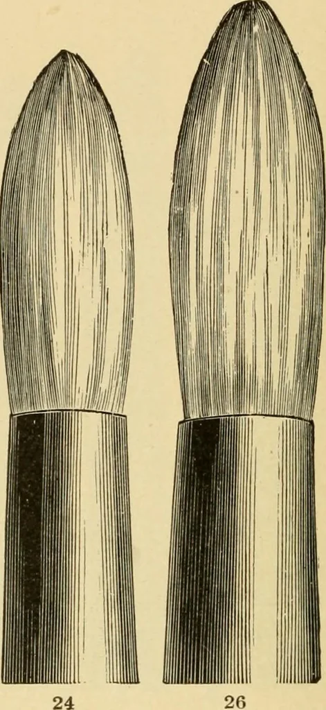 An illustration from Priced catalogue of artists' materials : supplies for oil painting, water color painting, china painting ... and drawing materials for architects and engineers, manual training schools and colleges., 1914, leaf 353
