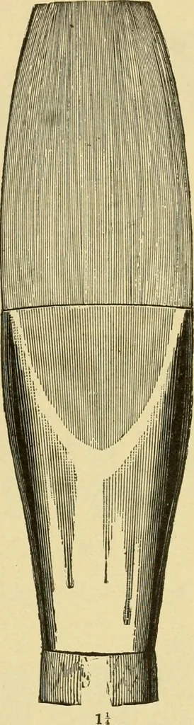 An illustration from Priced catalogue of artists' materials : supplies for oil painting, water color painting, china painting ... and drawing materials for architects and engineers, manual training schools and colleges., 1914, leaf 354