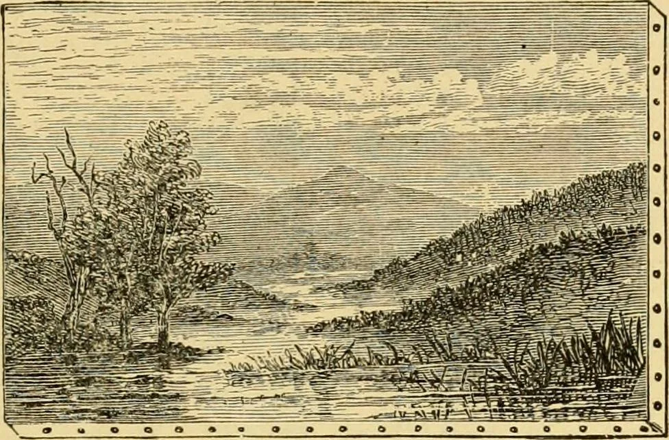 An illustration from Priced catalogue of artists' materials : supplies for oil painting, water color painting, china painting ... and drawing materials for architects and engineers, manual training schools and colleges., 1914, leaf 36