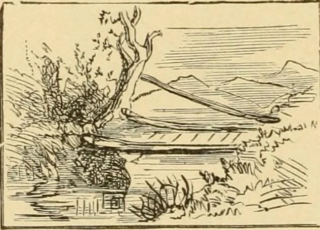 An illustration from Priced catalogue of artists' materials : supplies for oil painting, water color painting, china painting ... and drawing materials for architects and engineers, manual training schools and colleges., 1914, leaf 37