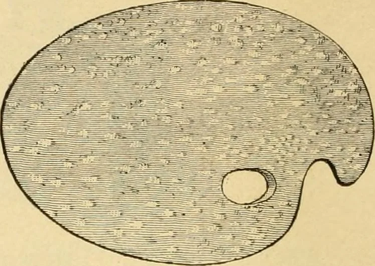 An illustration from Priced catalogue of artists' materials : supplies for oil painting, water color painting, china painting ... and drawing materials for architects and engineers, manual training schools and colleges., 1914, leaf 69