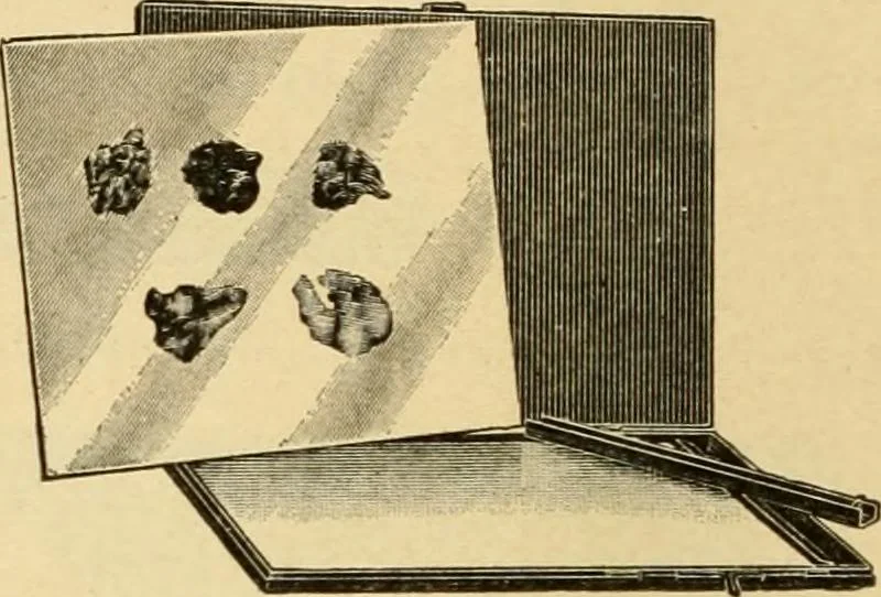 An illustration from Priced catalogue of artists' materials : supplies for oil painting, water color painting, china painting ... and drawing materials for architects and engineers, manual training schools and colleges., 1914, leaf 97