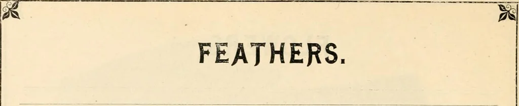 An illustration from Price list and diary for 1898., 1898, leaf 111