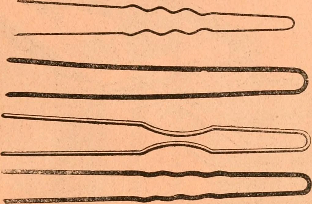 An illustration from Price list and diary for 1898., 1898, leaf 186