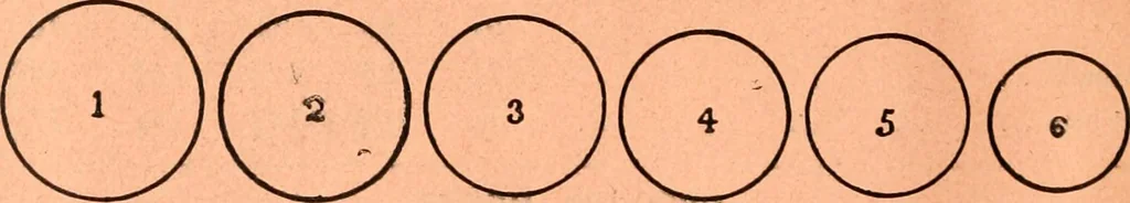 An illustration from Price list and diary for 1898., 1898, leaf 195