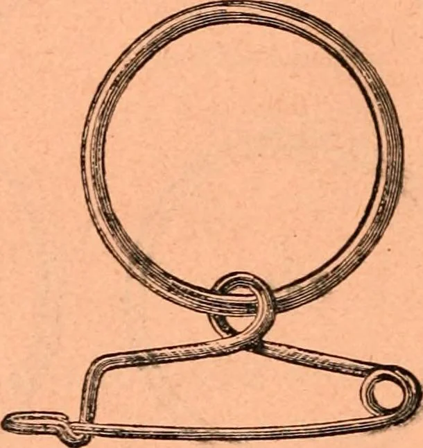 An illustration from Price list and diary for 1898., 1898, leaf 209