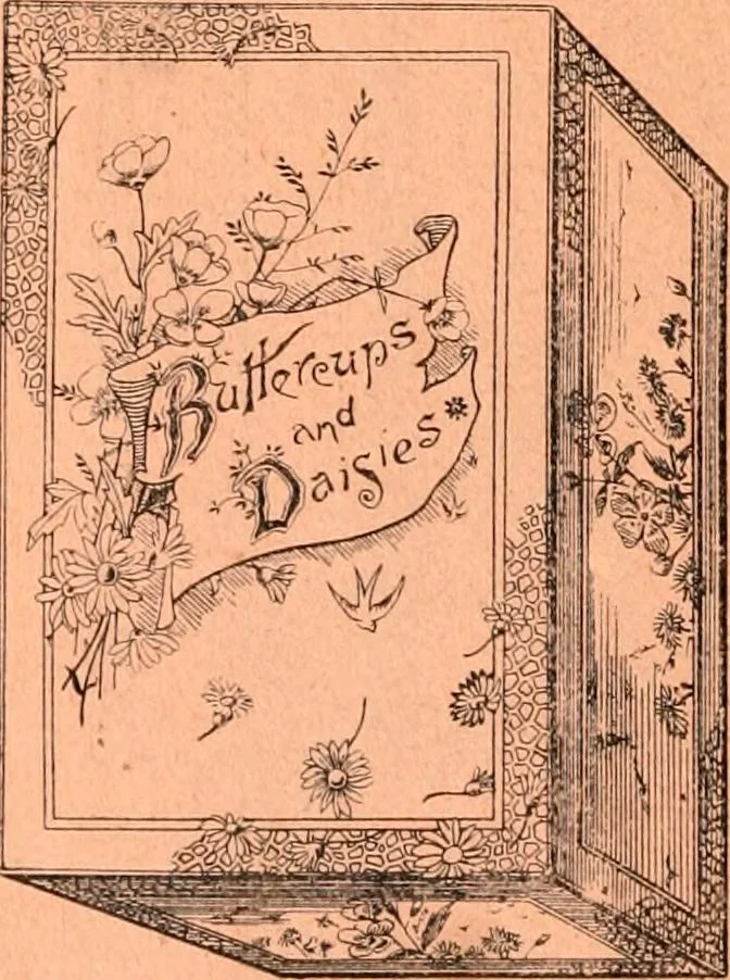 An illustration from Price list and diary for 1898., 1898, leaf 229