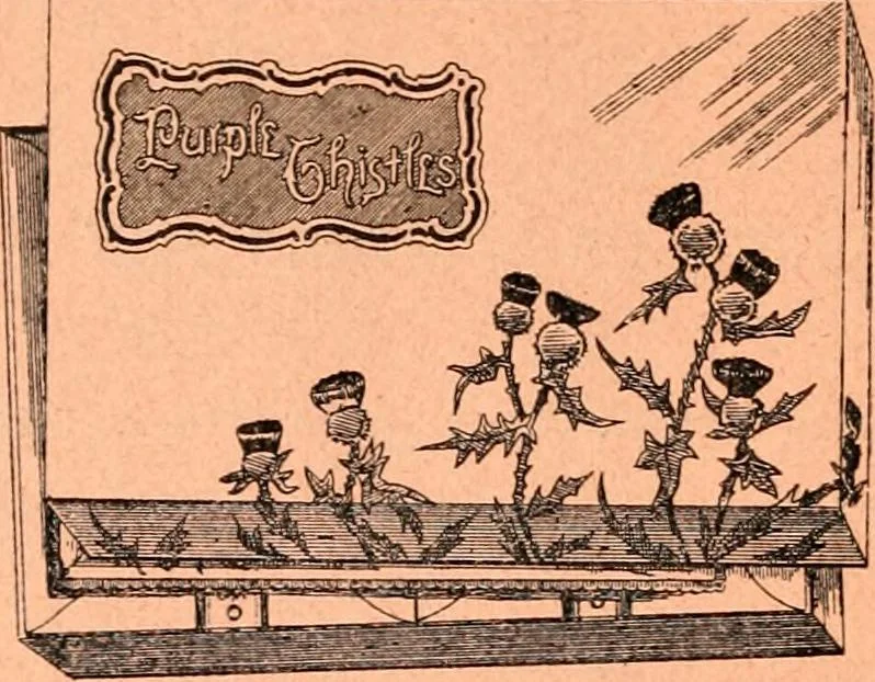 An illustration from Price list and diary for 1898., 1898, leaf 231
