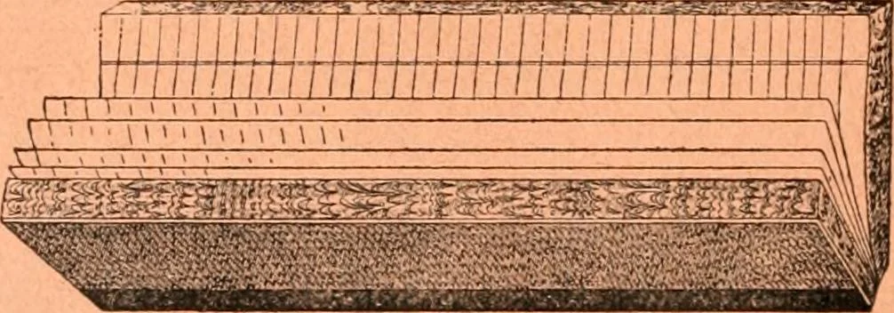 An illustration from Price list and diary for 1898., 1898, leaf 237