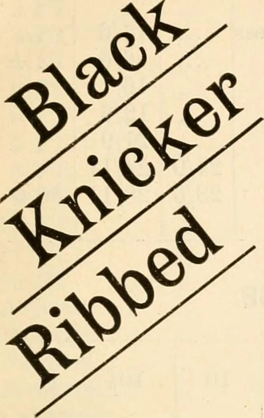 An illustration from Price list and diary for 1898., 1898, leaf 306