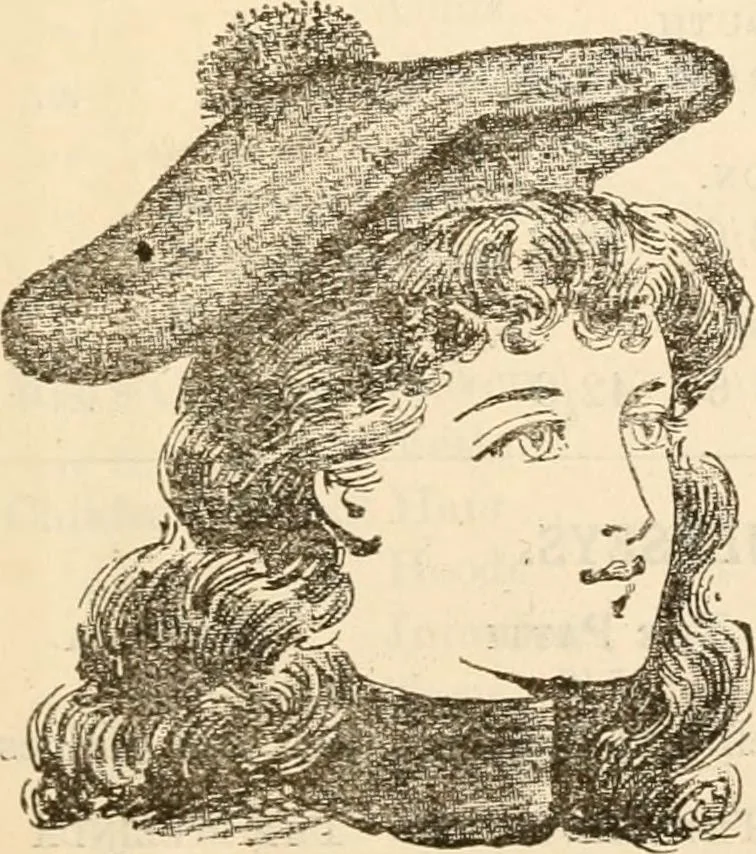 An illustration from Price list and diary for 1898., 1898, leaf 332