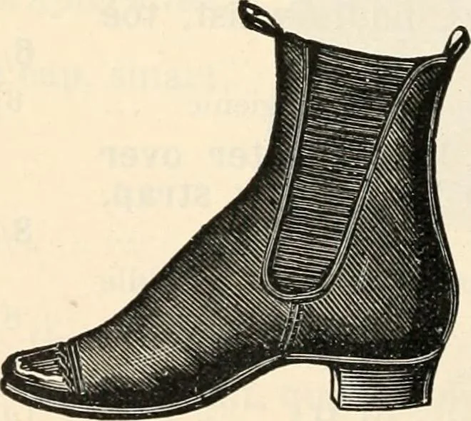 An illustration from Price list and diary for 1898., 1898, leaf 353