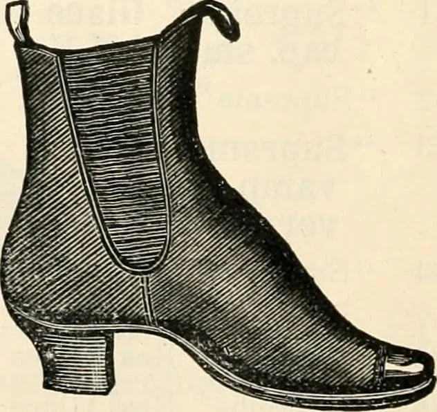 An illustration from Price list and diary for 1898., 1898, leaf 353