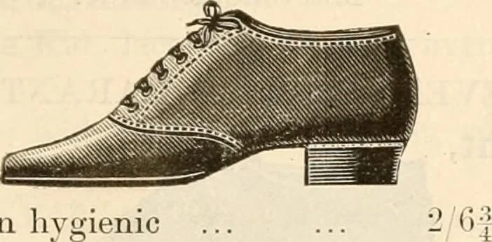 An illustration from Price list and diary for 1898., 1898, leaf 356